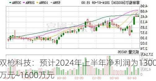 双枪科技：预计2024年上半年净利润为1300万元~1600万元