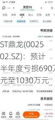 ST鼎龙(002502.SZ)：预计半年度亏损690万元至1030万元