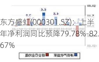 东方盛虹(000301.SZ)：上半年净利润同比预降79.78%-82.67%