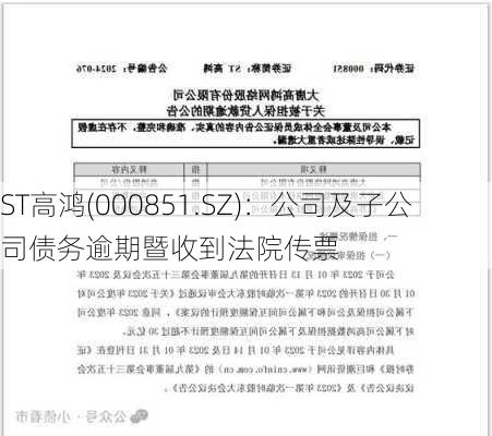 ST高鸿(000851.SZ)：公司及子公司债务逾期暨收到法院传票