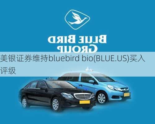 美银证券维持bluebird bio(BLUE.US)买入评级