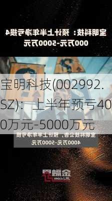 宝明科技(002992.SZ)：上半年预亏4000万元-5000万元