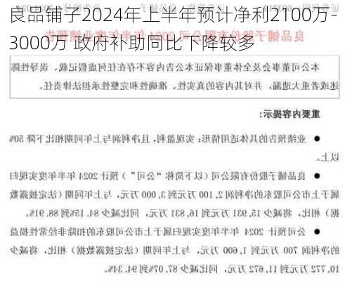 良品铺子2024年上半年预计净利2100万-3000万 政府补助同比下降较多