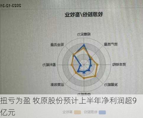 扭亏为盈 牧原股份预计上半年净利润超9亿元