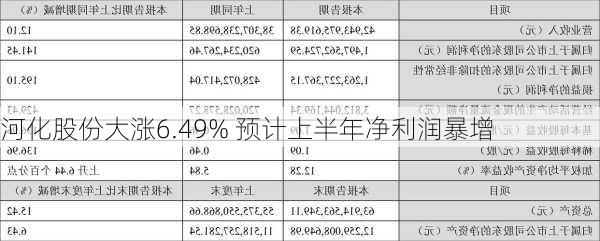 河化股份大涨6.49% 预计上半年净利润暴增