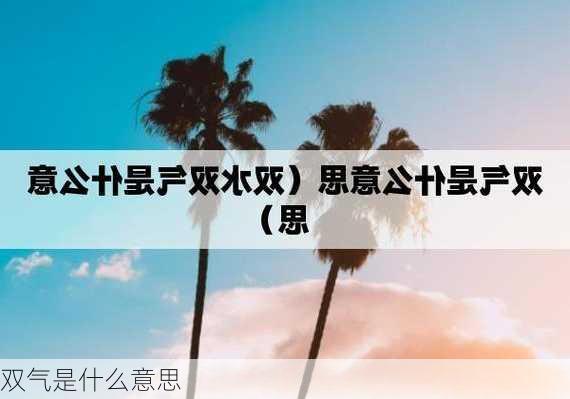 双气是什么意思