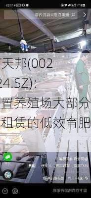 ST天邦(002124.SZ)：闲置养殖场大部分为租赁的低效育肥场