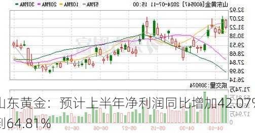 山东黄金：预计上半年净利润同比增加42.07%到64.81%