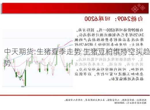 中天期货:生猪夏季走势 生猪豆粕维持空头趋势