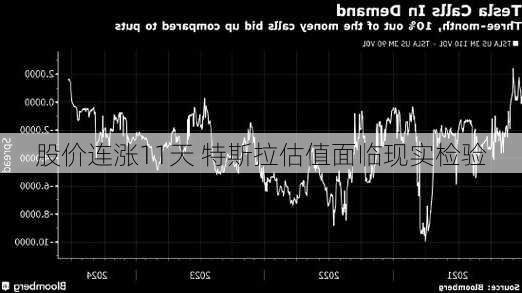 股价连涨11天 特斯拉估值面临现实检验