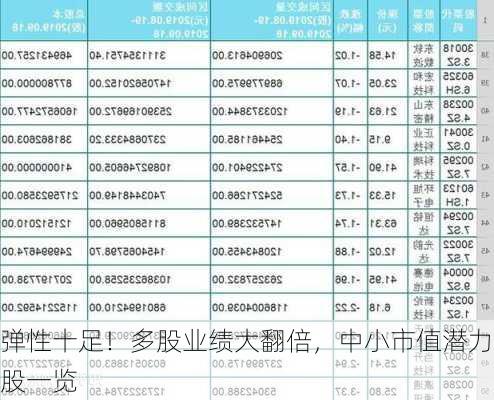 弹性十足！多股业绩大翻倍，中小市值潜力股一览