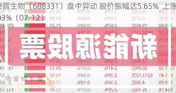 荣昌生物（688331）盘中异动 股价振幅达5.65%  上涨7.03%（07-12）