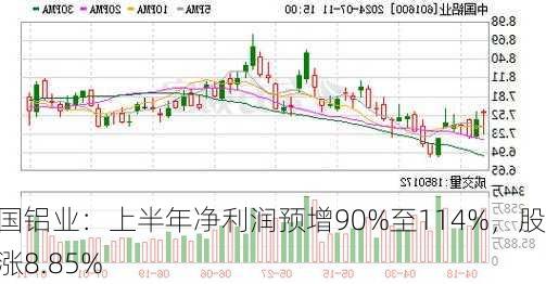 中国铝业：上半年净利润预增90%至114%，股价涨8.85%