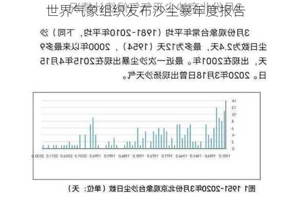 世界气象组织发布沙尘暴年度报告