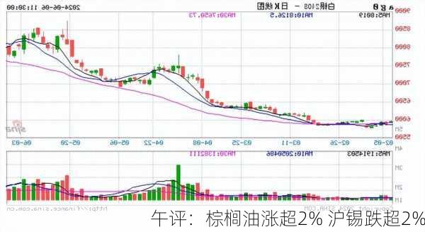 午评：棕榈油涨超2% 沪锡跌超2%