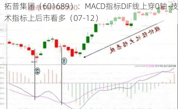 拓普集团（601689）：MACD指标DIF线上穿0轴-技术指标上后市看多（07-12）