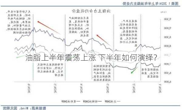 油脂上半年震荡上涨 下半年如何演绎？