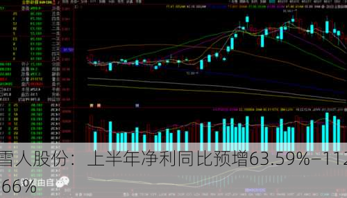 雪人股份：上半年净利同比预增63.59%―112.66%