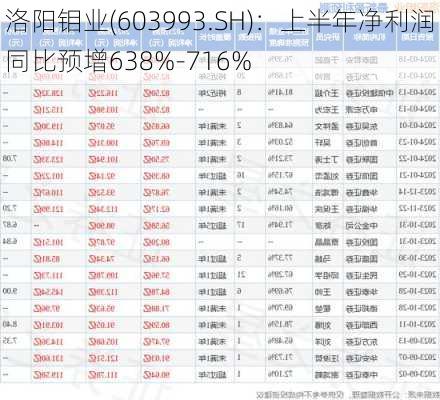 洛阳钼业(603993.SH)：上半年净利润同比预增638%-716%