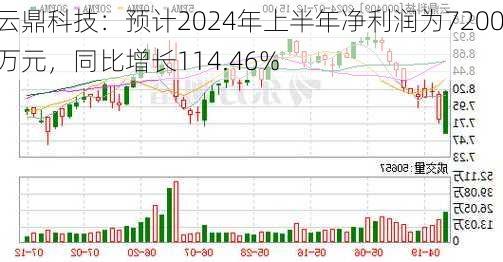 云鼎科技：预计2024年上半年净利润为7200万元，同比增长114.46%