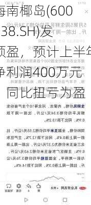 海南椰岛(600238.SH)发预盈，预计上半年净利润400万元，同比扭亏为盈