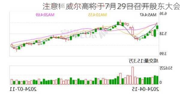 注意！威尔高将于7月29日召开股东大会