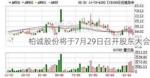 柏诚股份将于7月29日召开股东大会