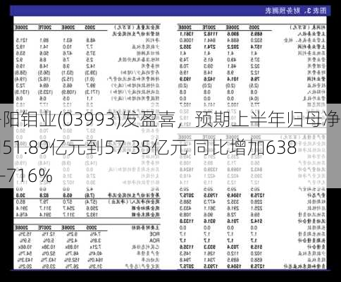 洛阳钼业(03993)发盈喜，预期上半年归母净利润51.89亿元到57.35亿元 同比增加638%-716%