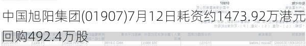 中国旭阳集团(01907)7月12日耗资约1473.92万港元回购492.4万股