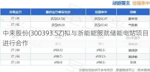 中来股份(300393.SZ)拟与浙能能服就储能电站项目进行合作