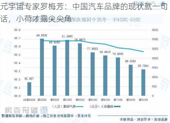 元宇宙专家罗梅芳：中国汽车品牌的现状就一句话，小荷才露尖尖角