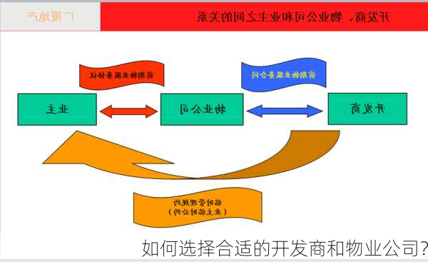 如何选择合适的开发商和物业公司？