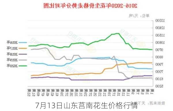 7月13日山东莒南花生价格行情