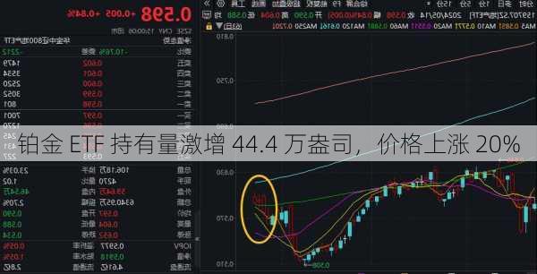 铂金 ETF 持有量激增 44.4 万盎司，价格上涨 20%