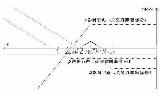 什么是2元期权