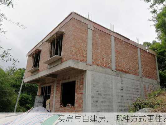 买房与自建房，哪种方式更佳？