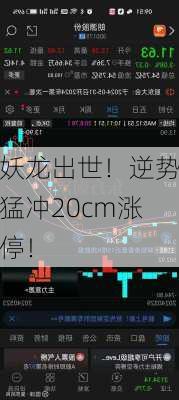 妖龙出世！逆势猛冲20cm涨停！