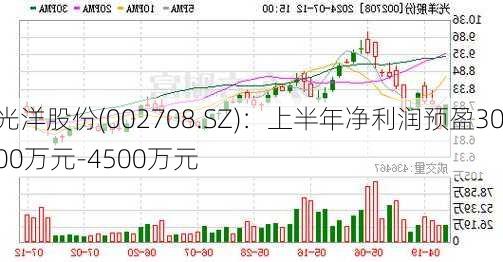 光洋股份(002708.SZ)：上半年净利润预盈3000万元-4500万元