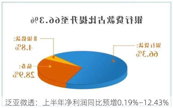 泛亚微透：上半年净利润同比预增0.19%―12.43%