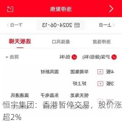 恒宇集团：香港暂停交易，股价涨超2%