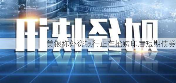 美银称外资银行正在抢购印度短期债券