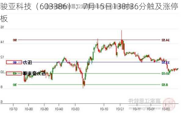 骏亚科技（603386）：7月15日13时36分触及涨停板