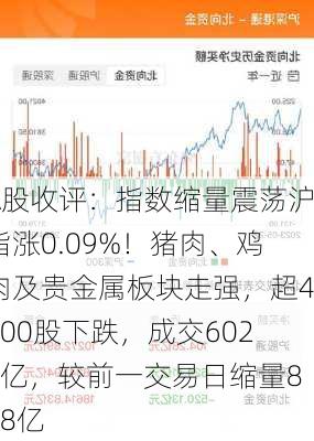 A股收评：指数缩量震荡沪指涨0.09%！猪肉、鸡肉及贵金属板块走强，超4300股下跌，成交6022亿，较前一交易日缩量848亿