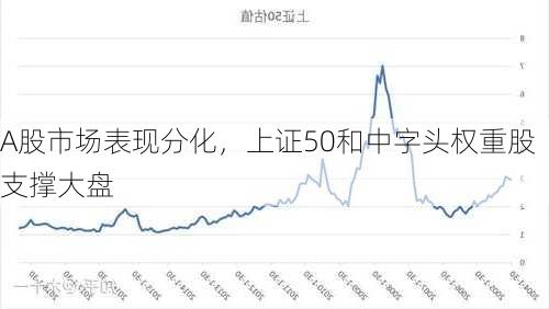 A股市场表现分化，上证50和中字头权重股支撑大盘