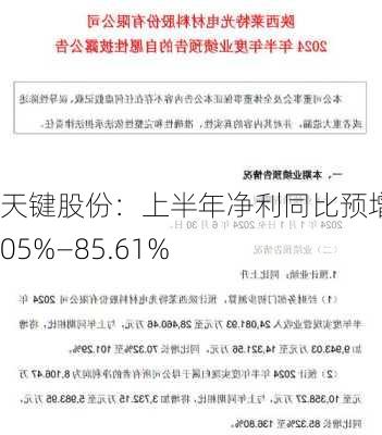 天键股份：上半年净利同比预增67.05%―85.61%