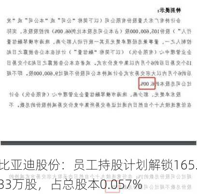 比亚迪股份：员工持股计划解锁165.33万股，占总股本0.057%