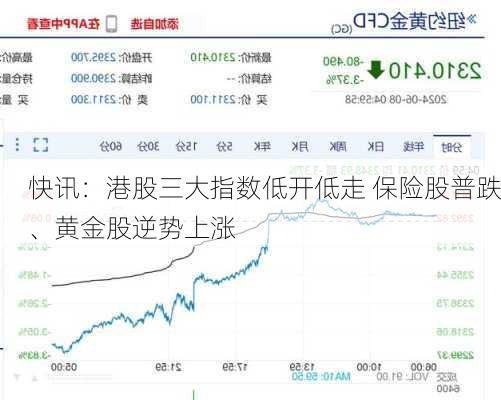 快讯：港股三大指数低开低走 保险股普跌、黄金股逆势上涨