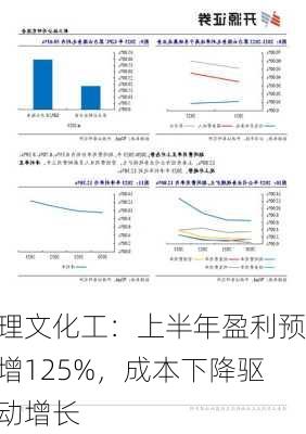 理文化工：上半年盈利预增125%，成本下降驱动增长