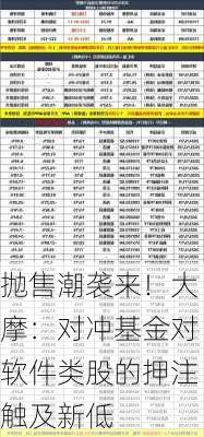 抛售潮袭来！大摩：对冲基金对软件类股的押注触及新低