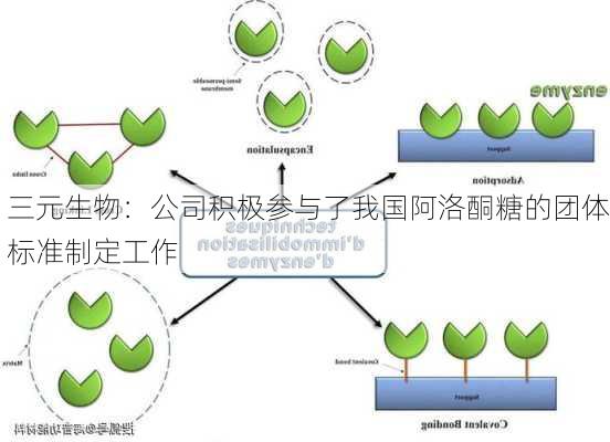 三元生物：公司积极参与了我国阿洛酮糖的团体标准制定工作